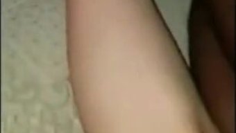 Siyah Boğa...